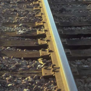 Rail Spike